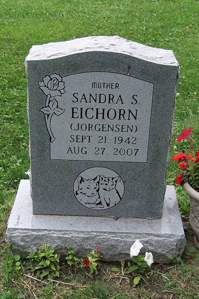 Sandra Eichorn death by force case profile photo