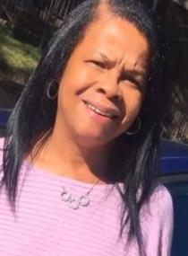 Lisa Nannette Hall Drake death by force case in Gallatin, TN