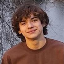 Estephan Espino death by force case profile photo