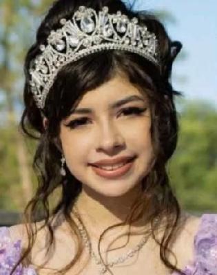 Hailey Toledo death by force case profile photo