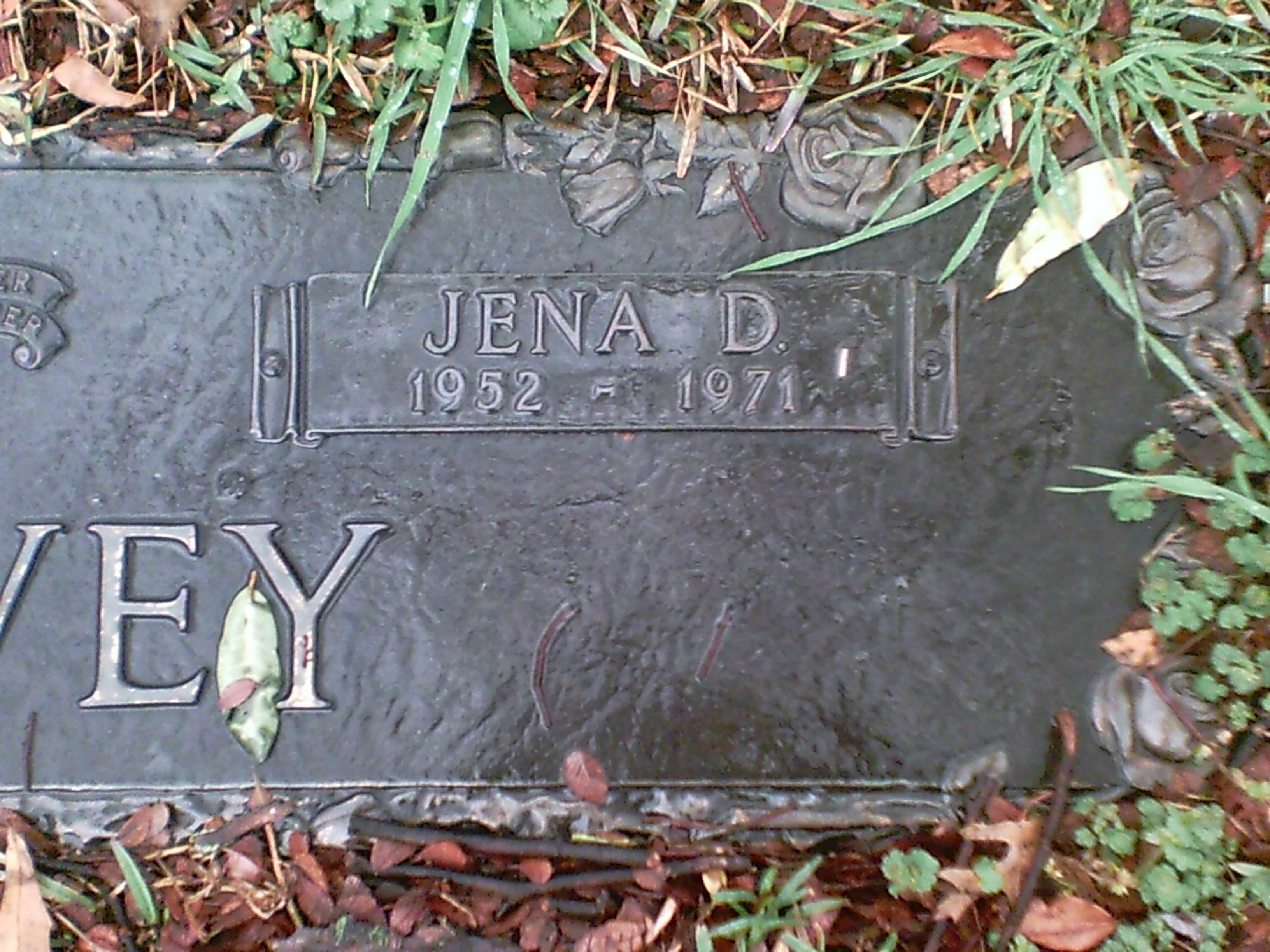 Jena Covey death by force case profile photo