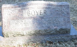 Amelia Boyer death by force case profile photo