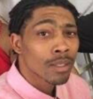 Troy Hamilton death by force case in Saint Louis, MO