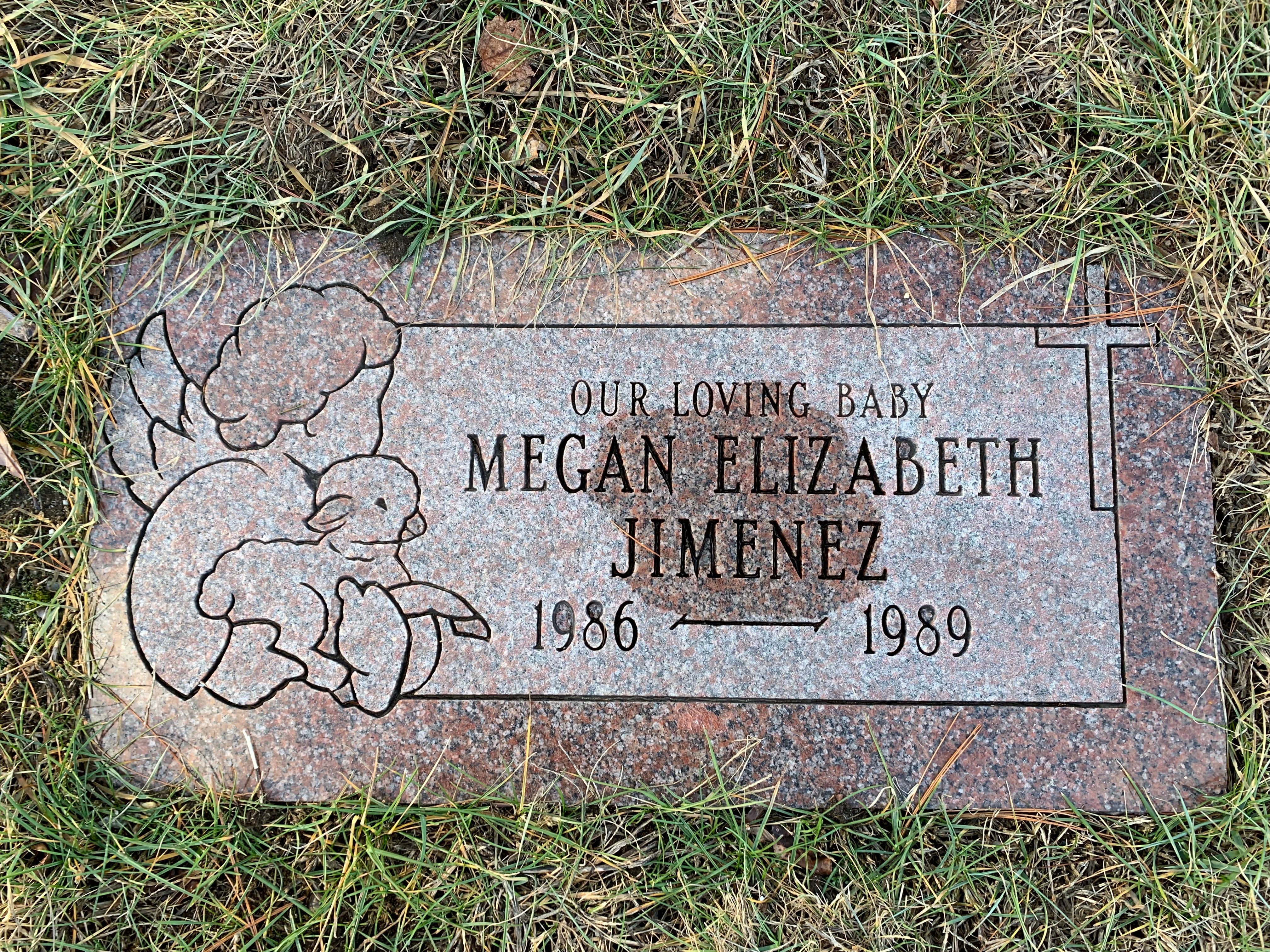 Megan Jiminez death by force case profile photo