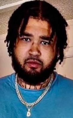 Dominique Johnson death by force case profile photo