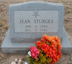 Jean Sturges death by force case profile photo