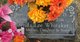 Brenda Whitaker death by force case profile photo
