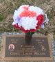 Cedric Miller death by force case in Charlotte, NC