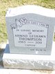 Ahmad Thompson death by force case in Tulsa, OK