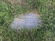 Larry Irving death by force case in San Diego, CA