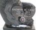 Raemon Gray death by force case in Pittsburgh, PA