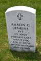 Aaron Jenkins death by force case in Pittsburgh, PA