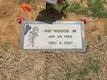 Hb Woods death by force case in Memphis, TN
