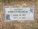 Mario Garland death by force case in Memphis, TN