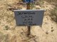 Jemarcius White death by force case in Memphis, TN