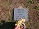 Michael Wright death by force case in Memphis, TN
