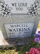 Marcell Watkins death by force case in Memphis, TN