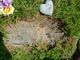 Deborah Pearson death by force case in Knoxville, TN