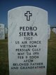 Pedro Sierra death by force case in San Antonio, TX