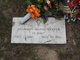 Shannon Weaver death by force case in Arlington, VA