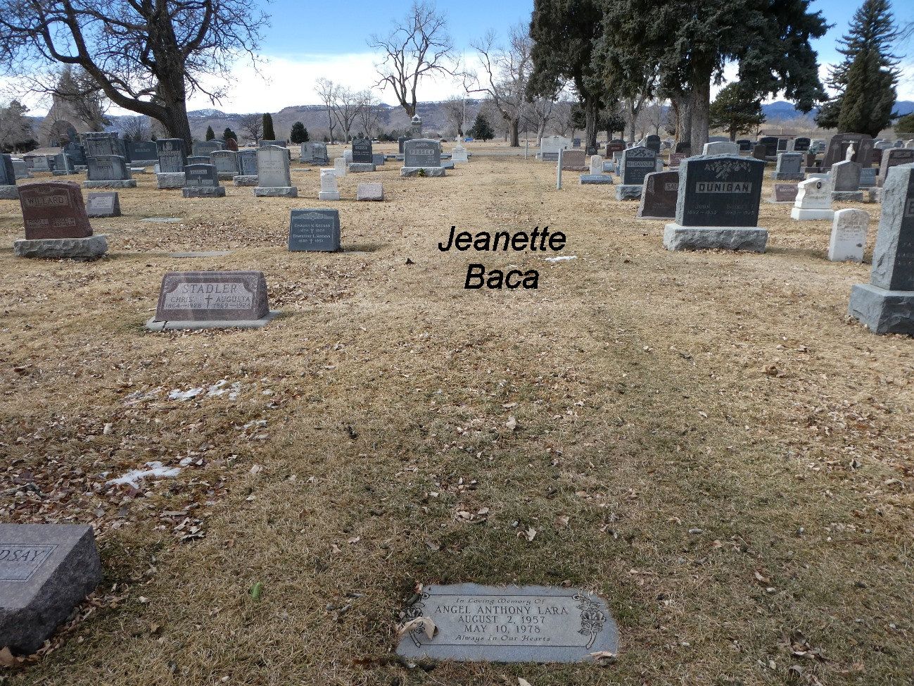 Jeanette Baca death by force case in Conifer, CO