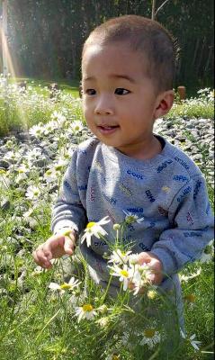 Kai Vue death by force case in Anchorage, AK