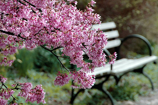 Stanley Custer death by force case in Shungnak, AK