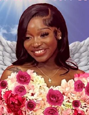Anitra Reyonna Hollo death by force case in Birmingham, AL