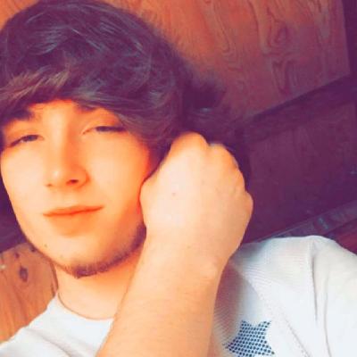 William Zane Hodgin death by force case in Valhermoso-springs, AL