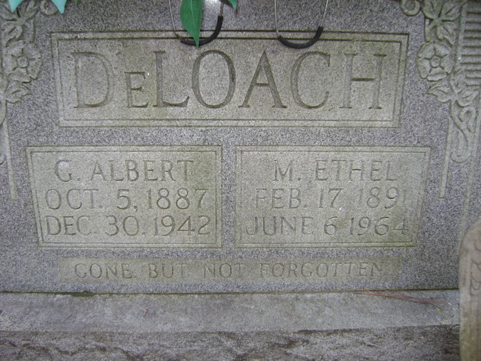 George Albert death by force case profile photo
