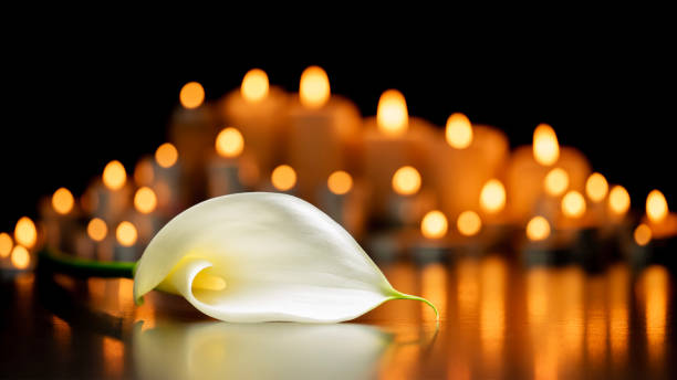 Samuel Powers death by force case in Machias, ME