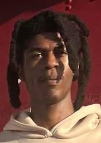 Terrell Owens death by force case profile photo