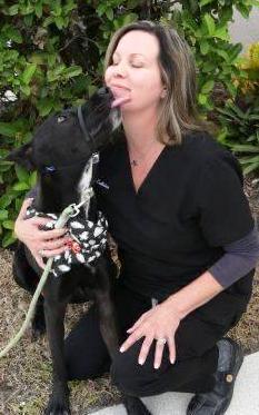 Shawn Callahan death by force case profile photo