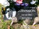Jatarvis Johnson death by force case in Jacksonville, FL