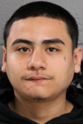 Julian Roa death by force case profile photo