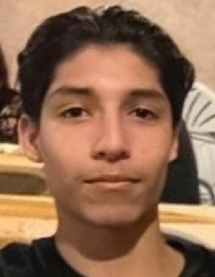 Anthony Roy Aragon death by force case in Carpentersville, IL