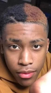 Dahvie P Brown Bay death by force case in Peoria, IL