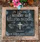 Kelli Daidone death by force case in Jacksonville, FL