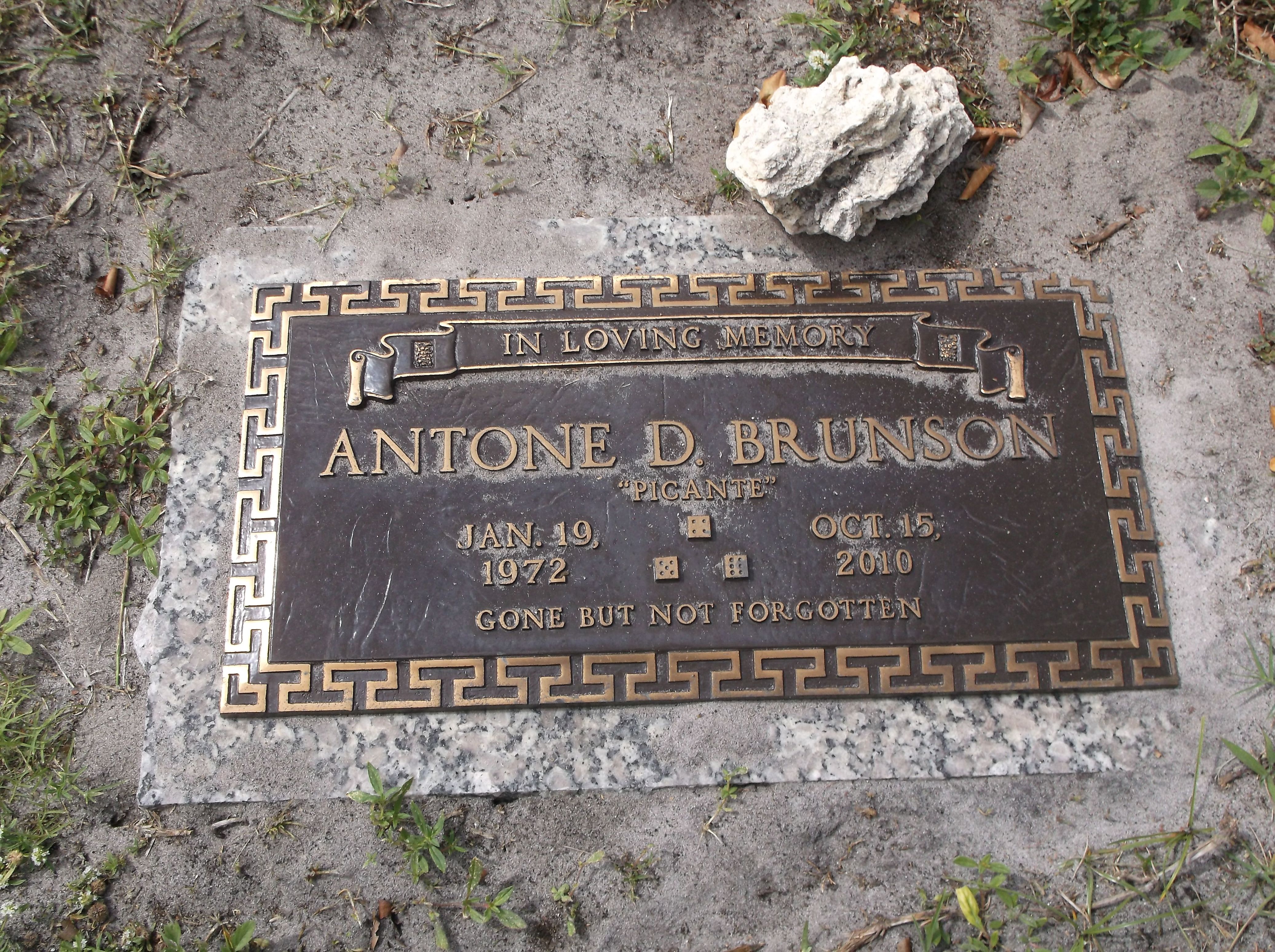 Antone D. Brunson death by force case in Miami, FL