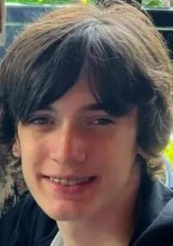 Demarian Palmisano death by force case in Cincinnati, OH
