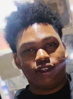 Marcus James Johnson death by force case in Benton-harbor, MI