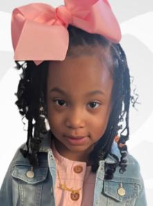 Harley Dion Hosein death by force case in Saint-louis, MO
