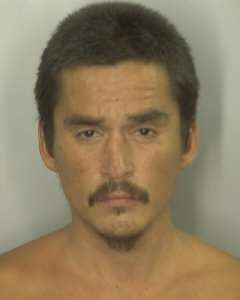 Gabriel William Chaney death by force case in Honolulu, HI