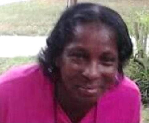 Theressa Johnson death by force case profile photo