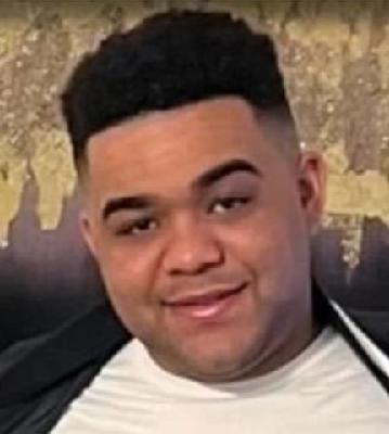 Giguenson Peña-Peña death by force case profile photo