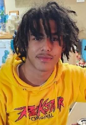 Ahmeen Palmer death by force case profile photo