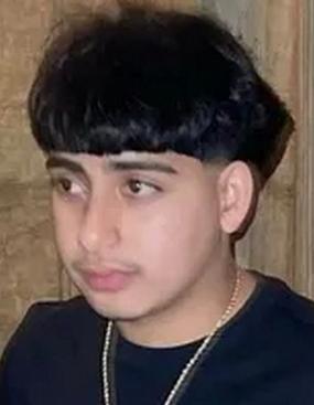 Darwin Henriquez-Perdomo death by force case profile photo