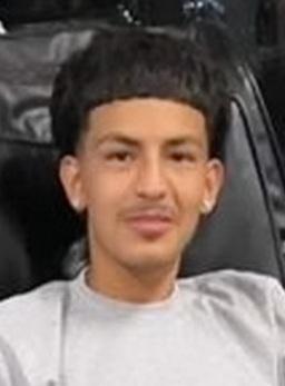 Damian Andrade death by force case in Panorama-city, CA