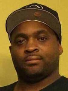 Rolan T Johnson death by force case in Chicago, IL