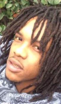 Ryan E Ellis death by force case in Chicago, IL
